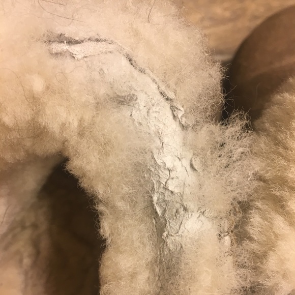 Sheep skin slippers - Picture 2 of 2